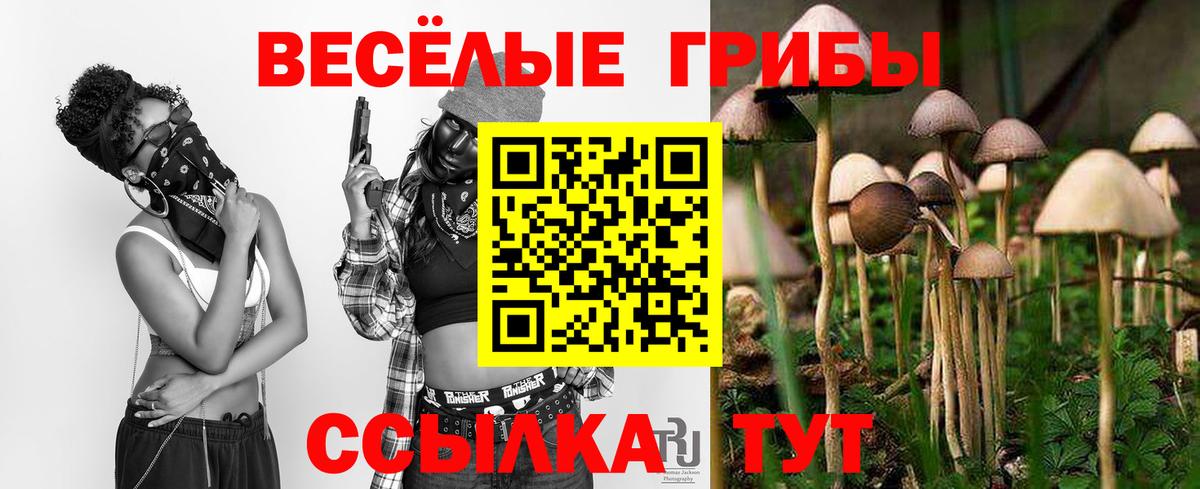 Галлюциногенные грибы Чехов