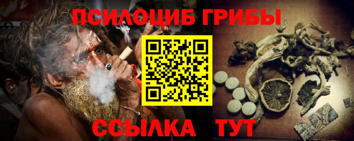 Чехов  купить  цена  Вход с VPN  Псилоцибиновые грибы Psilocybe 